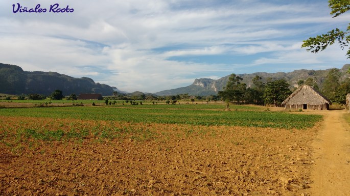 IMG_20161201_085850061