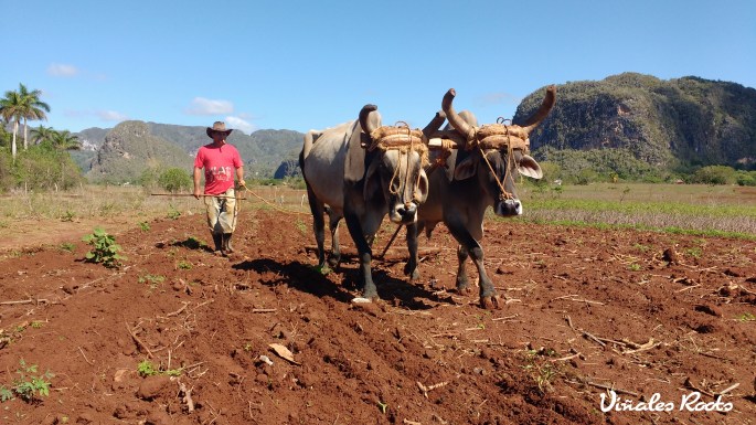 IMG_20170423_103252929